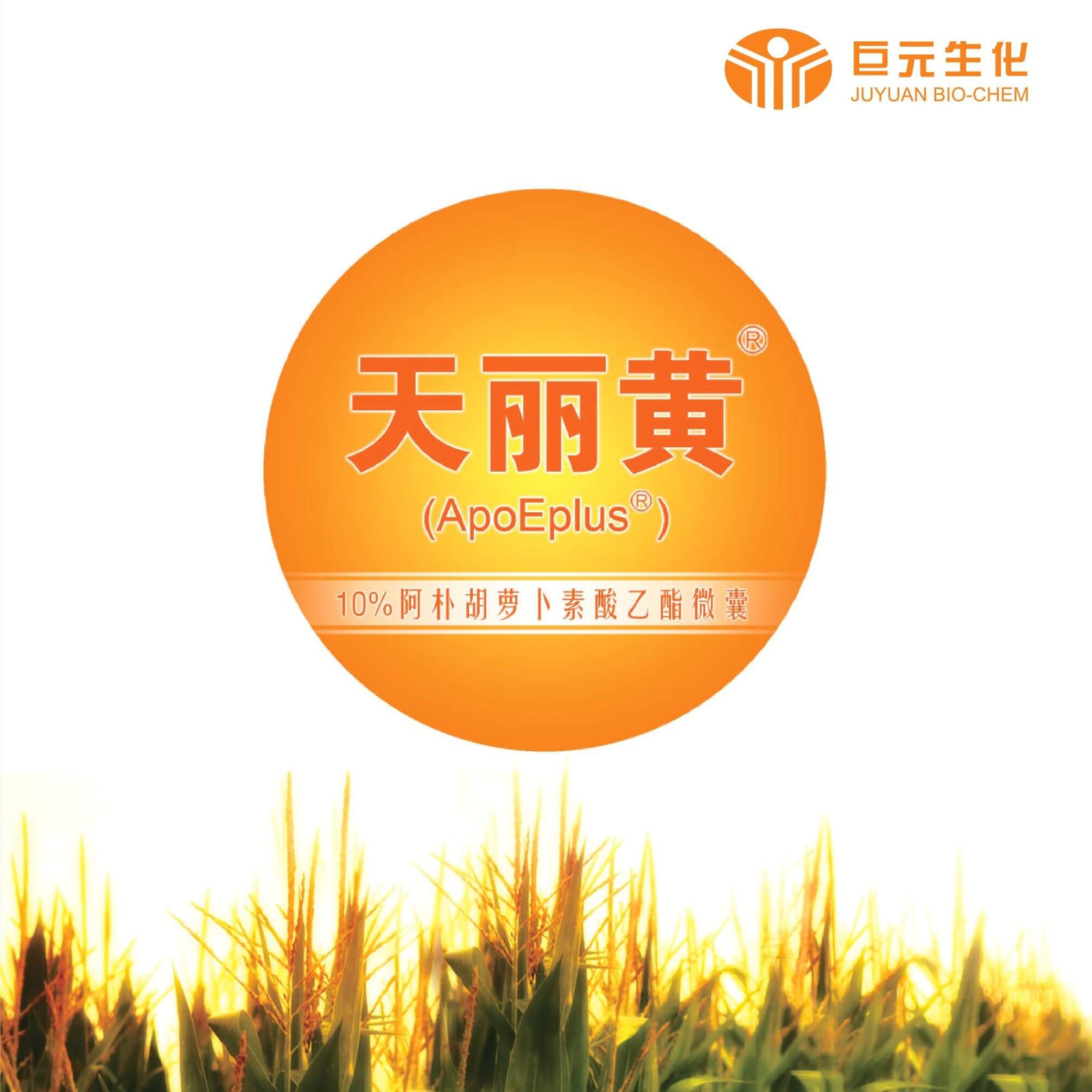 天麗黃